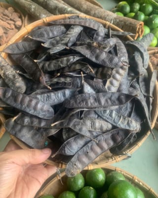 Quả bồ kết