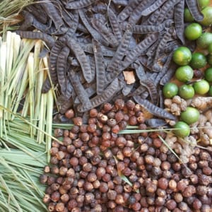 Nguyên liệu làm dầu gội