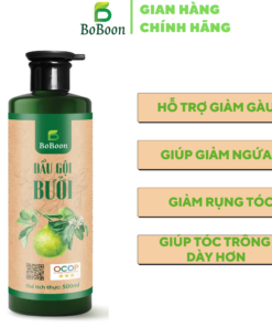 dau-goi-buoi (1)